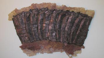 artwork by Judy Tobie 