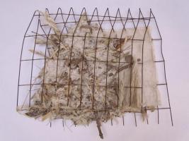 artwork by Judy Tobie 