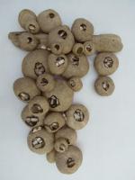 artwork by Judy Tobie 