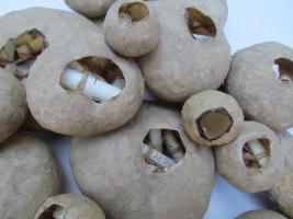 artwork by Judy Tobie 